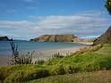 New_Zealand (1113)
